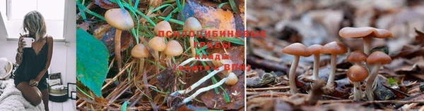 mix Белоозёрский