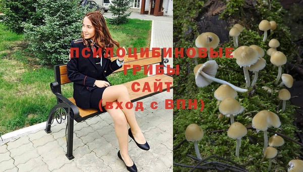 мдпв Белокуриха