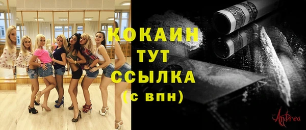 мдпв Белокуриха